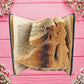 Bride & Groom Wedding Celebration Folded Book Art