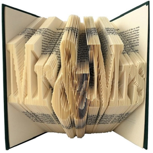 Mr & Mrs Celebration Folded Book Art