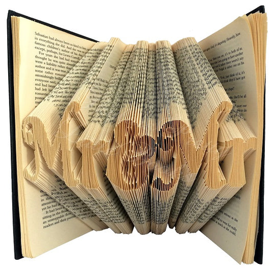Mr & Mr Celebration Folded Book Art