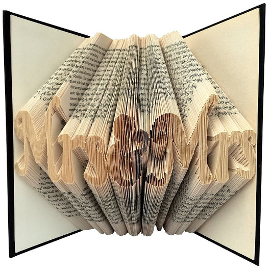 Mrs & Mrs Celebration Folded Book Art