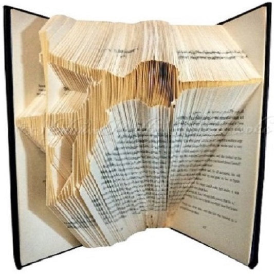 Pole Dancer Folded Book Art
